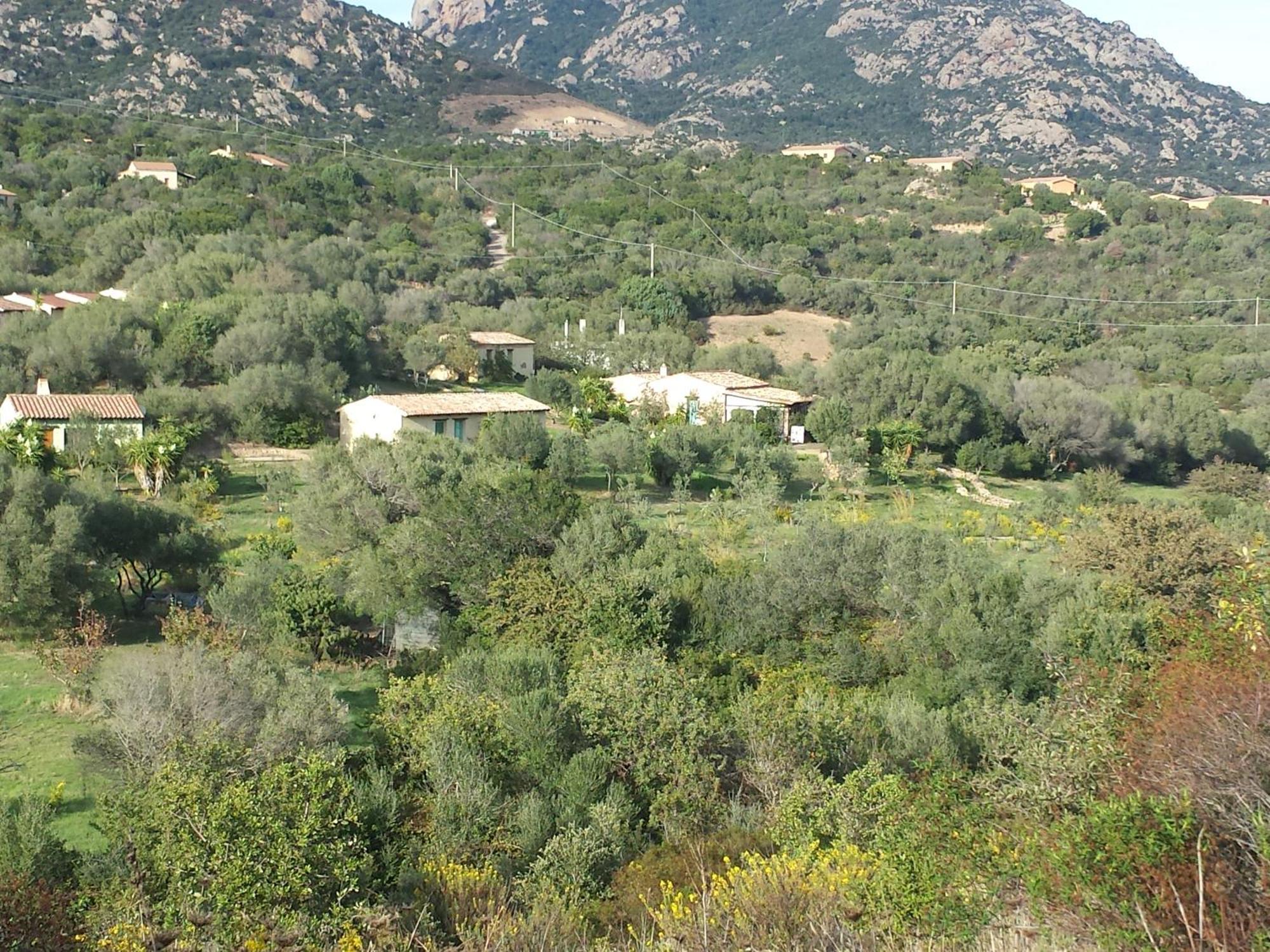 Agriturismo Agrisole 올비아 외부 사진