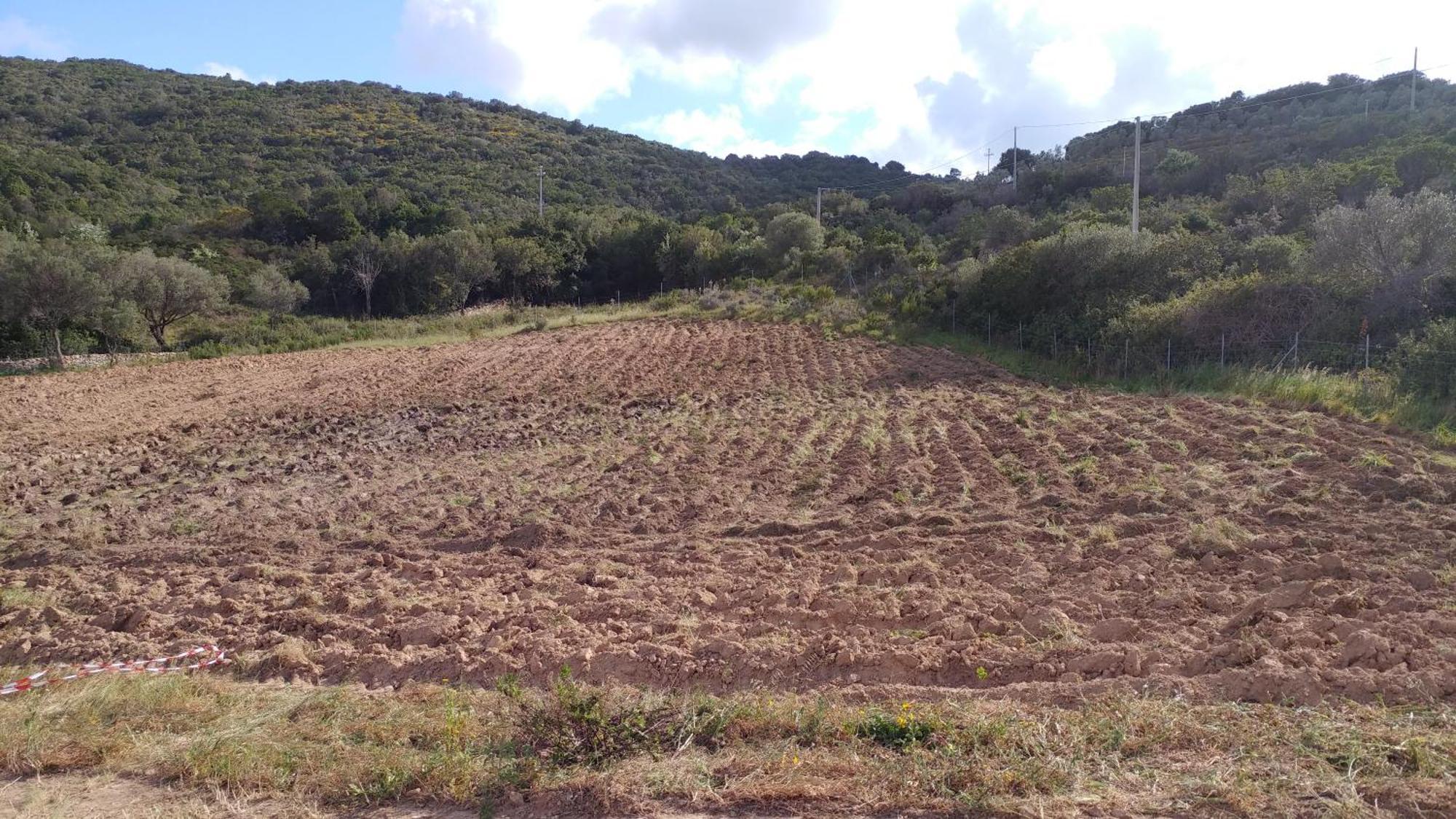 Agriturismo Agrisole 올비아 외부 사진