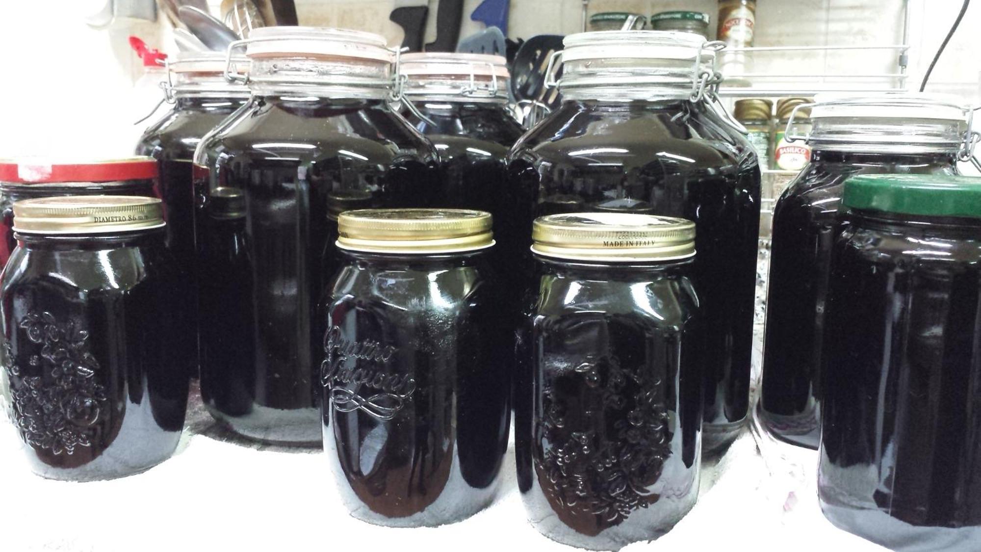 Agriturismo Agrisole 올비아 외부 사진