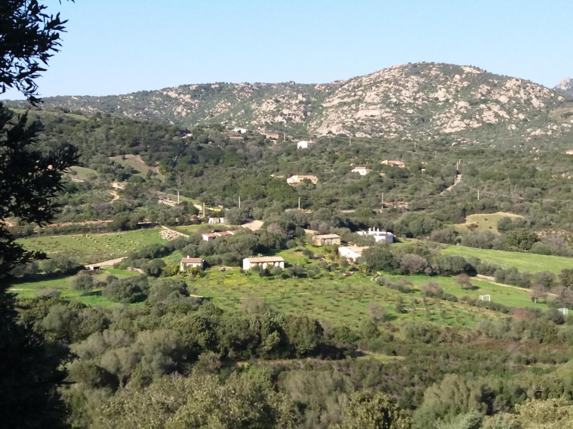 Agriturismo Agrisole 올비아 외부 사진