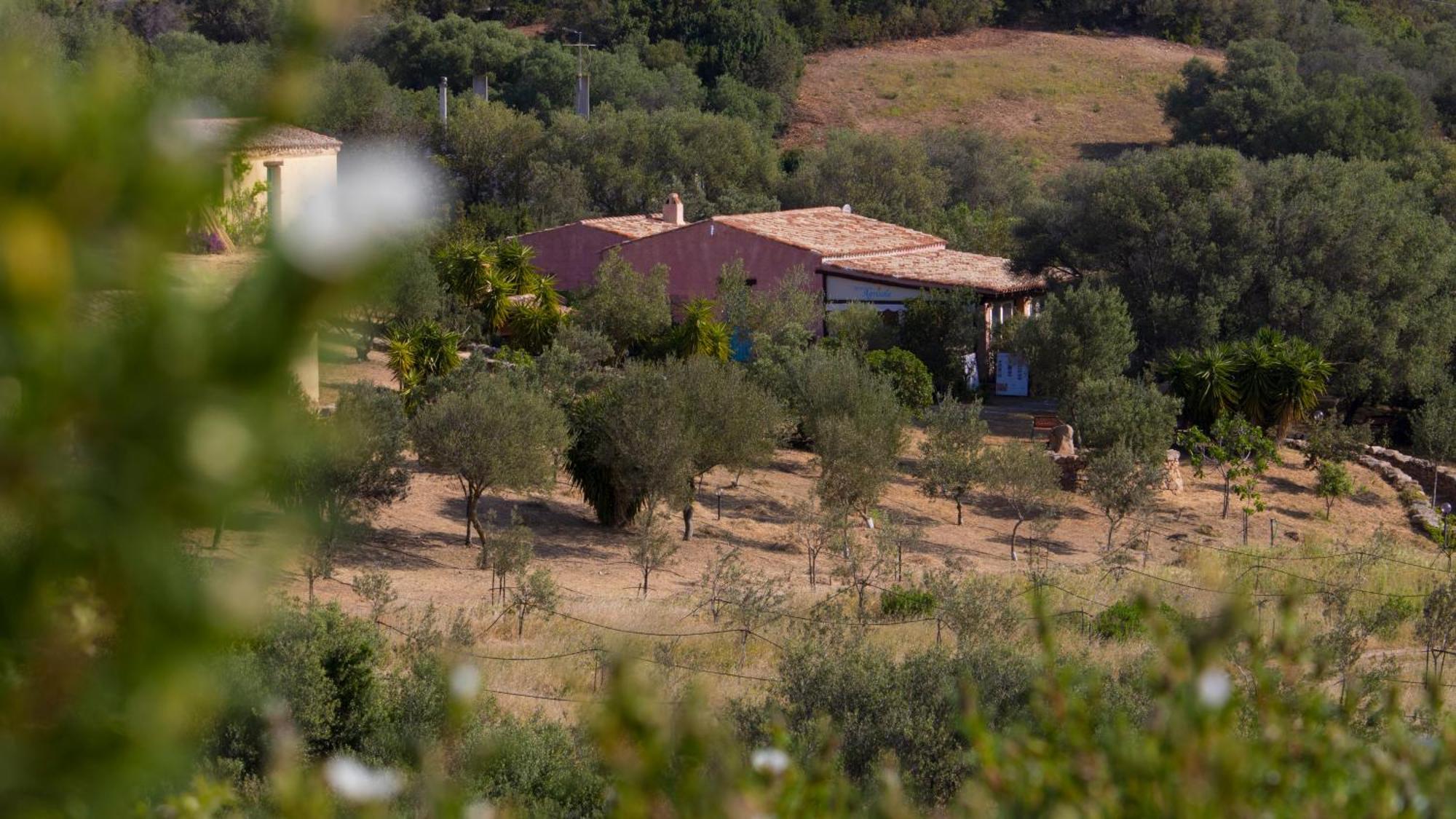 Agriturismo Agrisole 올비아 외부 사진