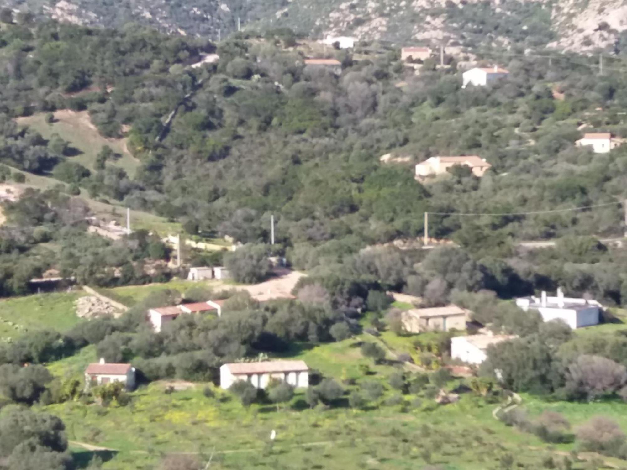 Agriturismo Agrisole 올비아 외부 사진