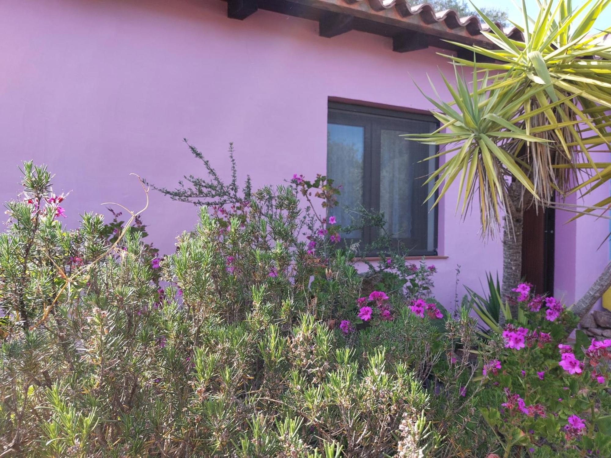 Agriturismo Agrisole 올비아 외부 사진