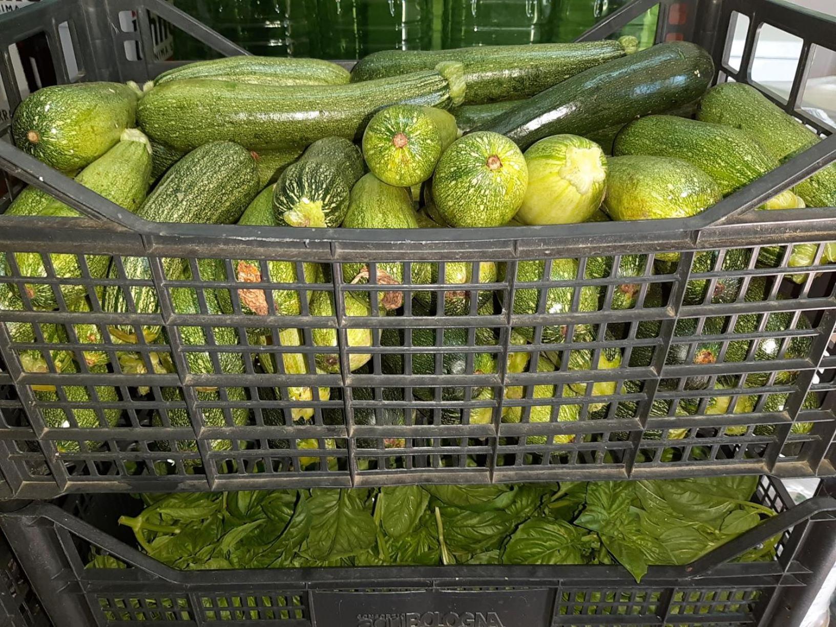 Agriturismo Agrisole 올비아 외부 사진