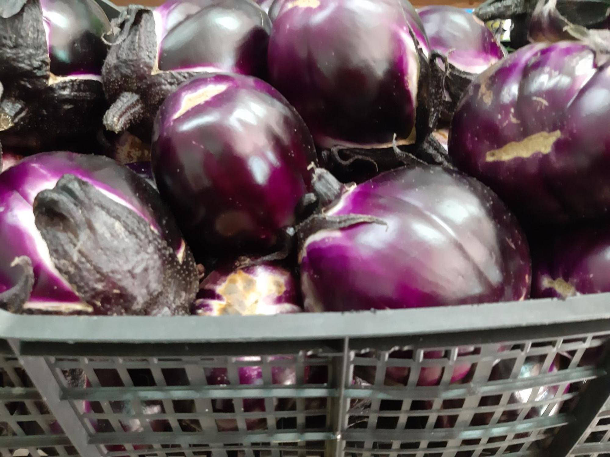 Agriturismo Agrisole 올비아 외부 사진